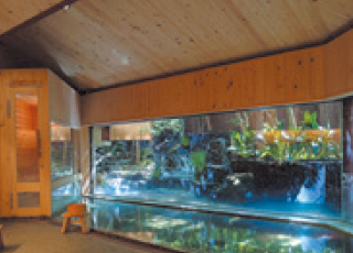 温泉施設の様子